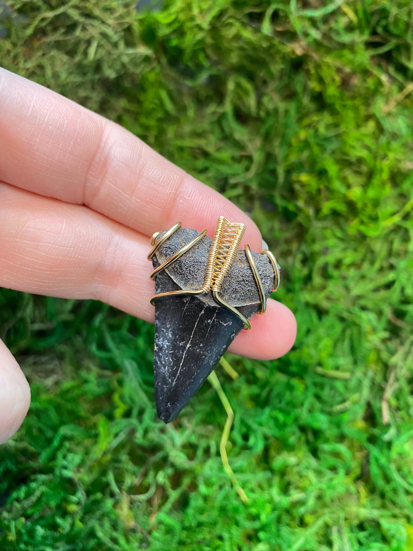 Shark tooth pendant